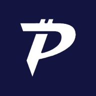 Pactus blockchain